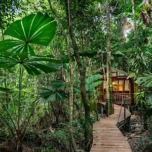 Wilderness Daintree