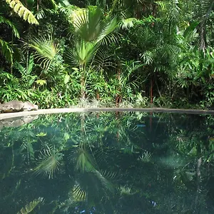 Rainforest Retreat Daintree