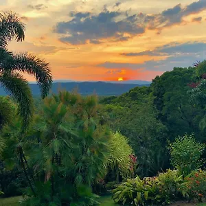 Manor Daintree