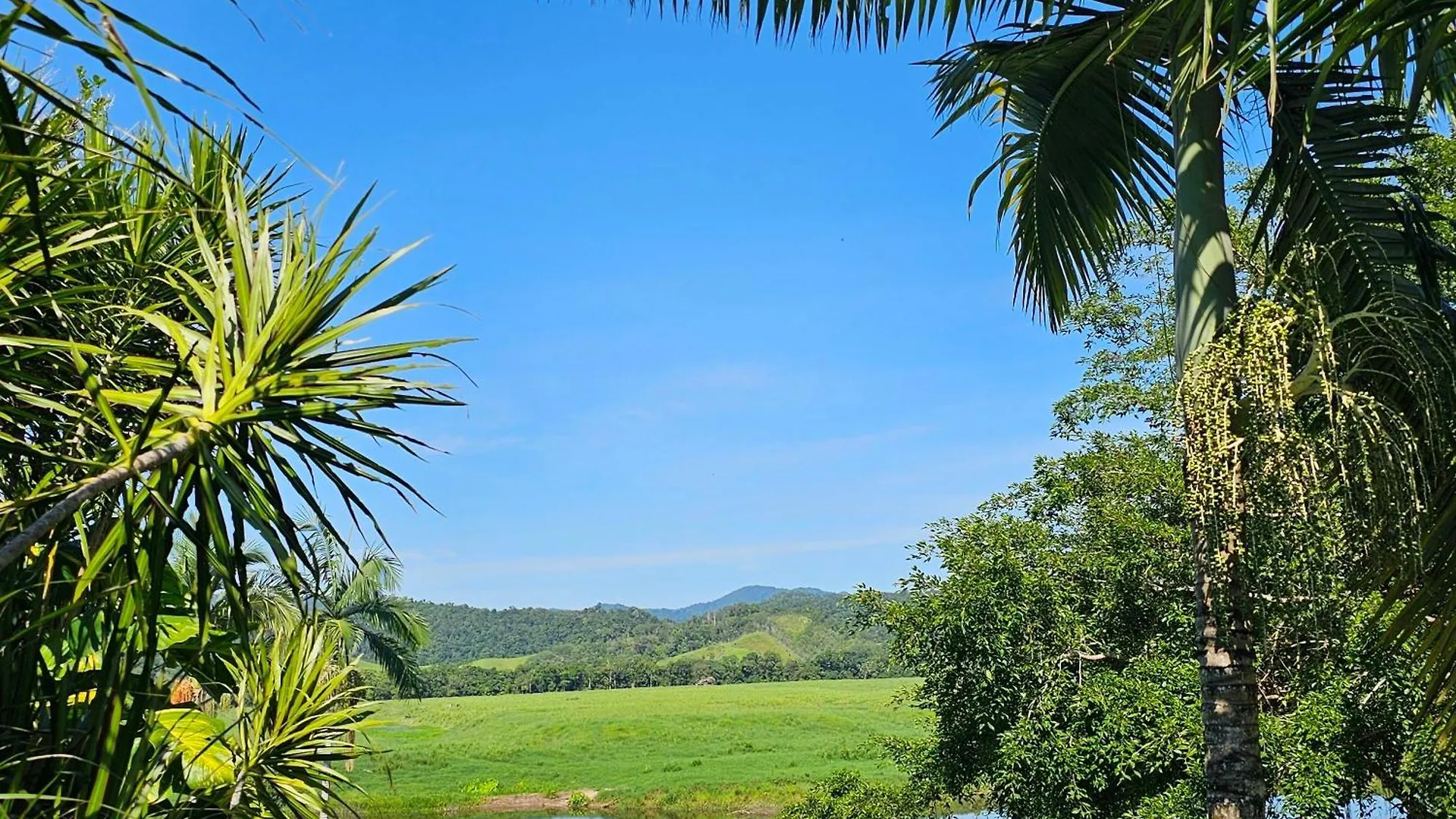Daintree Riverview Lodges & Van Park 0*,