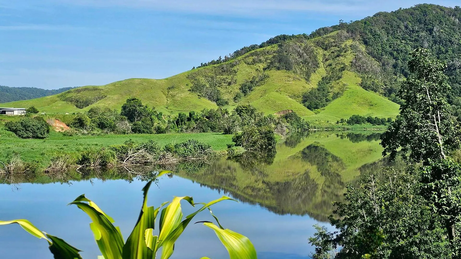 Daintree Riverview Lodges & Van Park